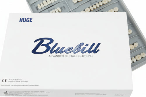 Huge Dental Bluebell Acrylic Denture Teeth A3