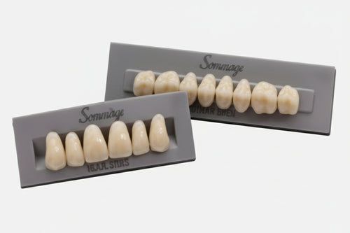 HUGE Sonning Acrylic Denture Teeth B1 Shade