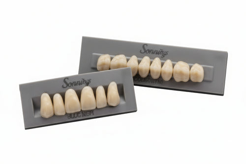 HUGE Bluebell Acrylic Denture Teeth B1 Shade - 28 Piece