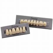 Huge Dental Bluebell Acrylic Denture Teeth B1 (Set of 28)