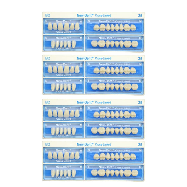 API Acrylic Teeth Sets - NewDent B2
